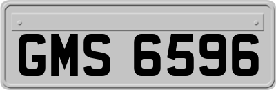 GMS6596
