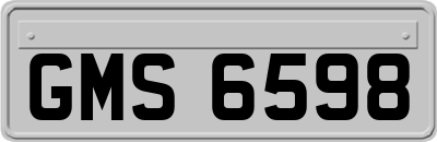 GMS6598
