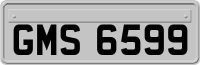 GMS6599