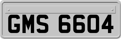 GMS6604