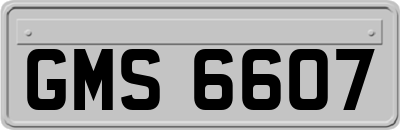 GMS6607