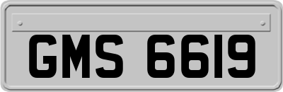 GMS6619