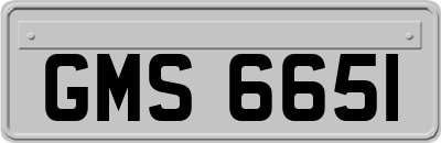 GMS6651