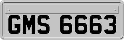 GMS6663