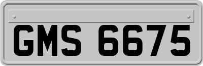GMS6675