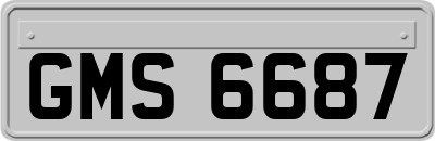 GMS6687