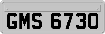 GMS6730