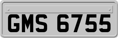GMS6755