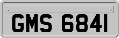 GMS6841