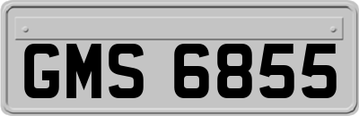 GMS6855