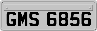 GMS6856