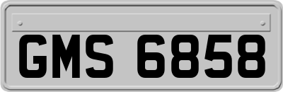 GMS6858