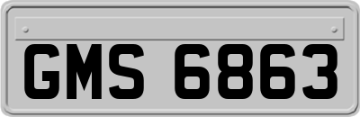 GMS6863