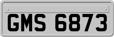 GMS6873