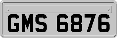GMS6876