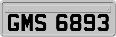 GMS6893