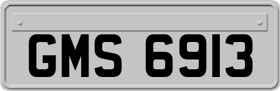 GMS6913