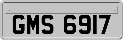 GMS6917