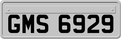 GMS6929