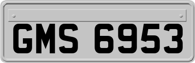 GMS6953