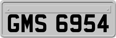 GMS6954