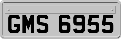GMS6955