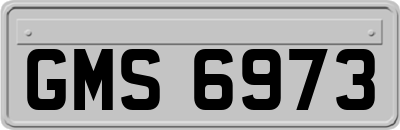 GMS6973