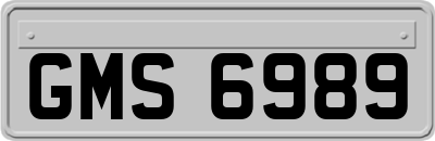 GMS6989