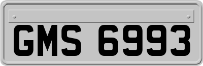 GMS6993