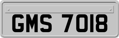 GMS7018