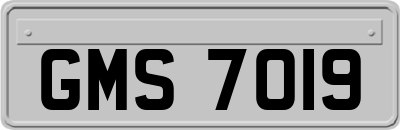 GMS7019