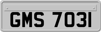 GMS7031
