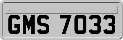 GMS7033