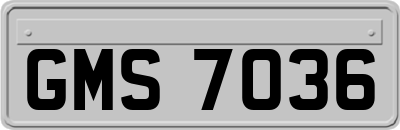 GMS7036