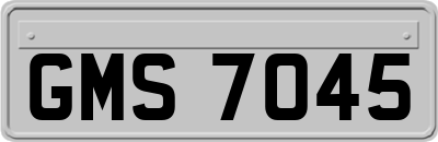 GMS7045