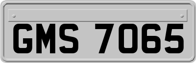 GMS7065
