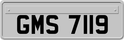 GMS7119
