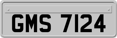GMS7124