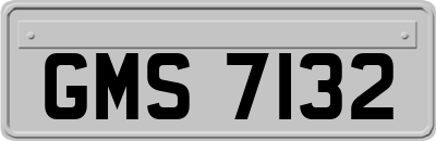 GMS7132