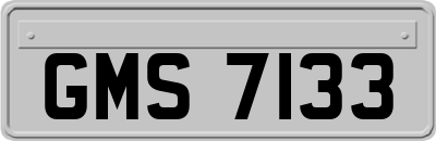 GMS7133