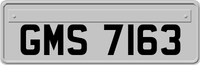 GMS7163