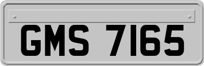GMS7165