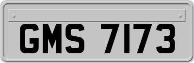 GMS7173