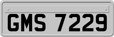 GMS7229