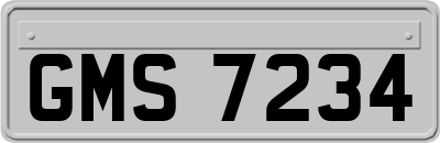 GMS7234