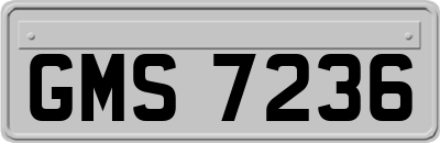 GMS7236