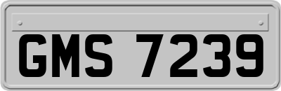 GMS7239