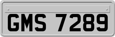 GMS7289
