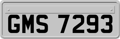 GMS7293