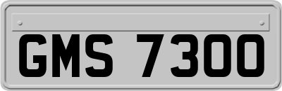 GMS7300